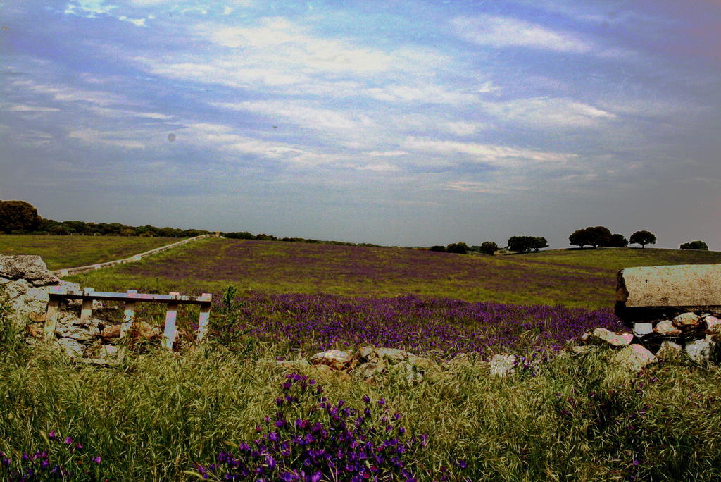 Casa Rural La Cuadraa Linares de Riofrío Cameră foto