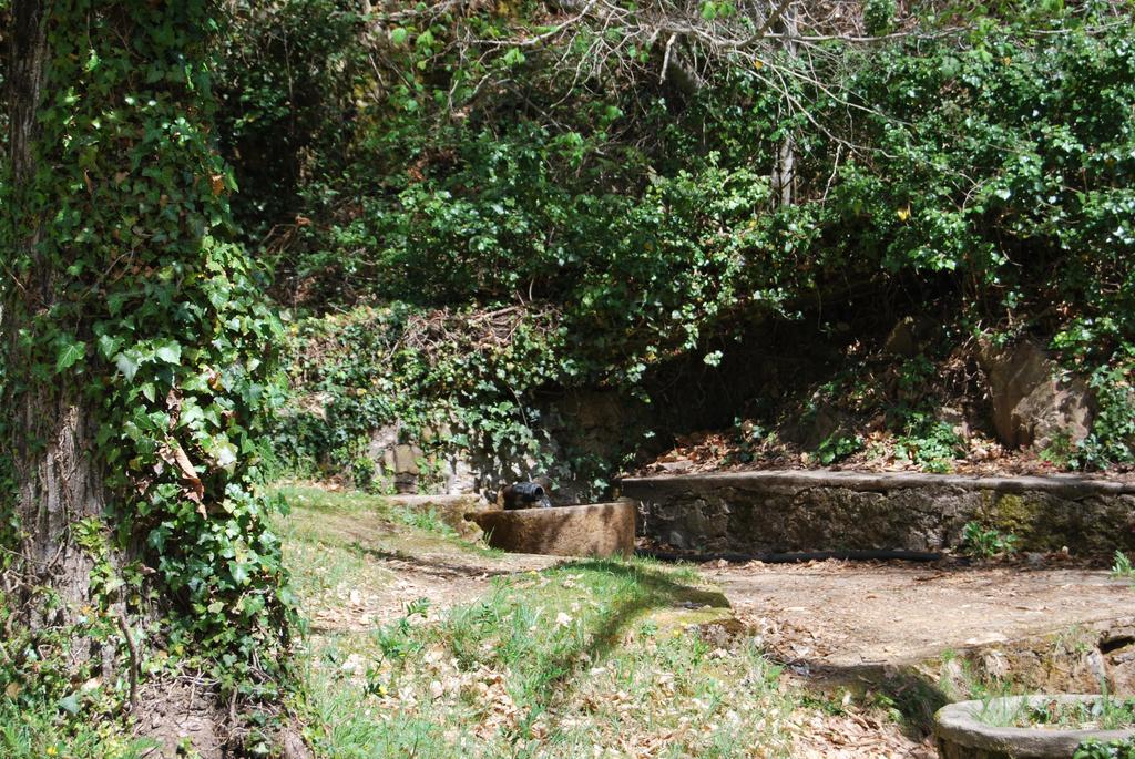 Casa Rural La Cuadraa Linares de Riofrío Exterior foto